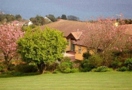 Property Wise - Estate Agents Isle of..