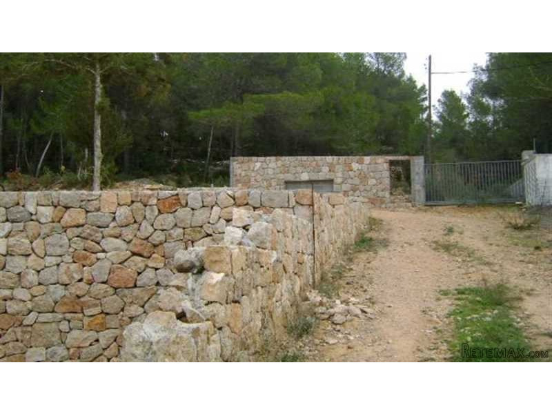 Plot in San Jose