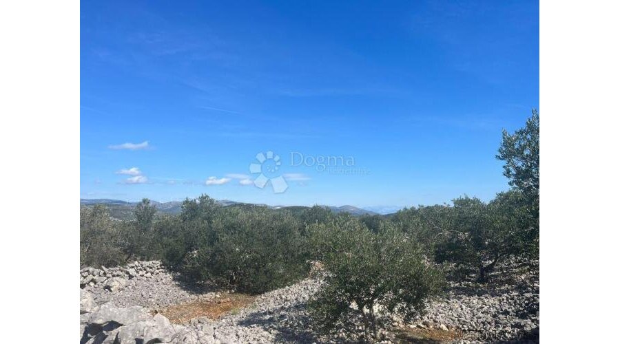 Poljoprivredno zemljište 9050 m2- Sevid