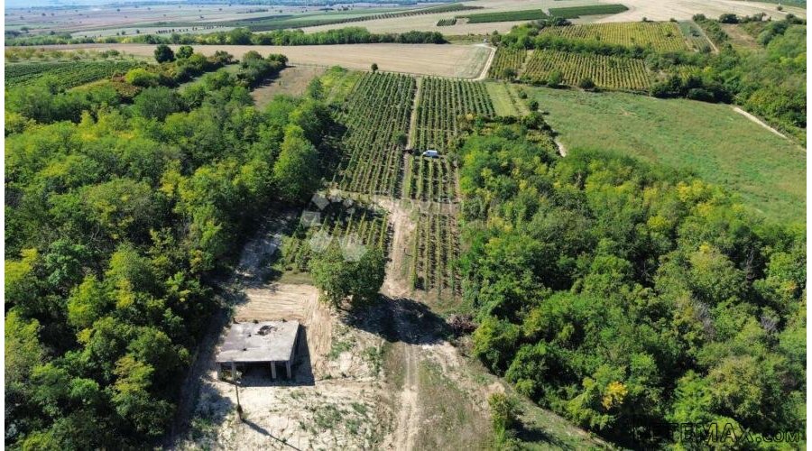 DRAŽ - ZGRADA ZA EKSKLUZIVNU VINARIJU S KUŠAONICOM I BAZENOM