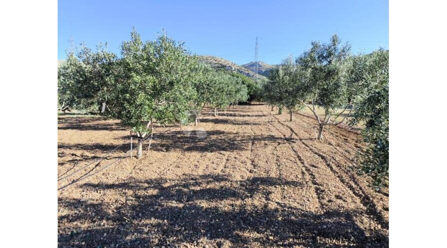 Zemljište s otvorenim pogledom na more - Trogir - 3