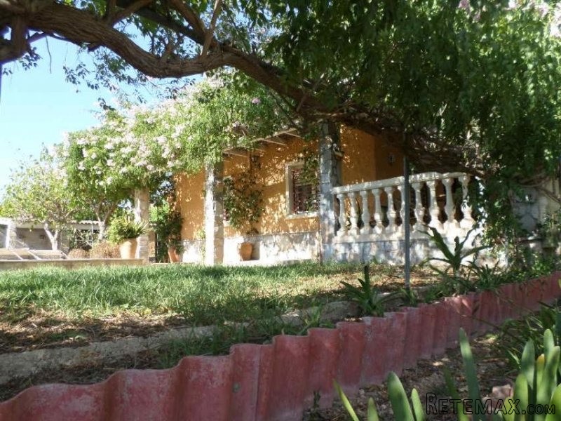 Amazing Finca Elche - 2