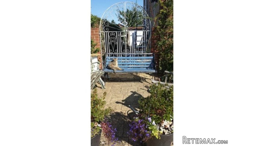 Beautiful detached house in Winchester - 2