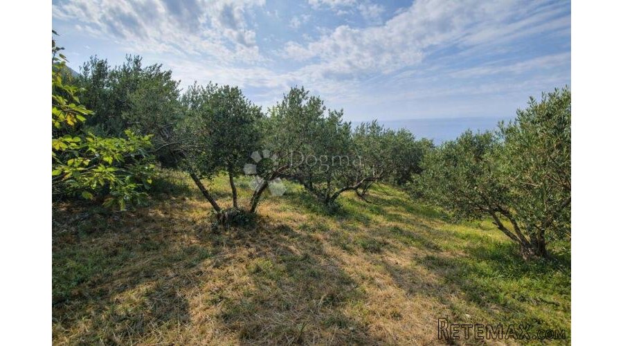 Građ.zemljište Sv.Filip i Jakov - 3000m2 - 2