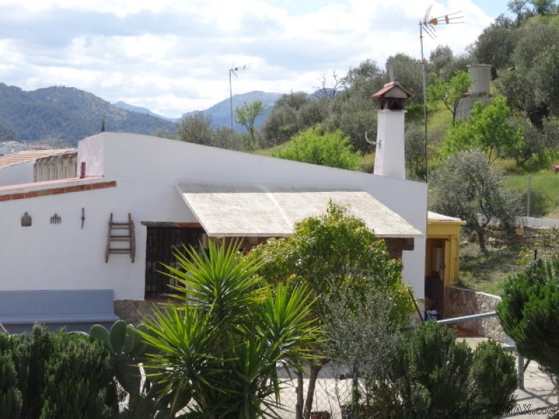 The Village*
