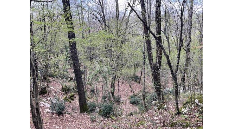 Matulji -10471m2,teren za više obiteljskih kuća