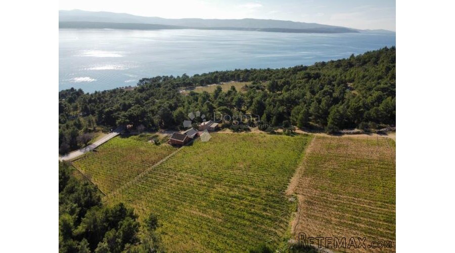 BOL 2 KUĆE + VINOGRAD OD 9614m2 S TOP POGLEDOM - 3