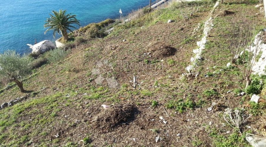 ATRAKTIVNO ZEMLJIŠTE SUHI POTOK, JESENICE NA KORAK DO MORA - 4