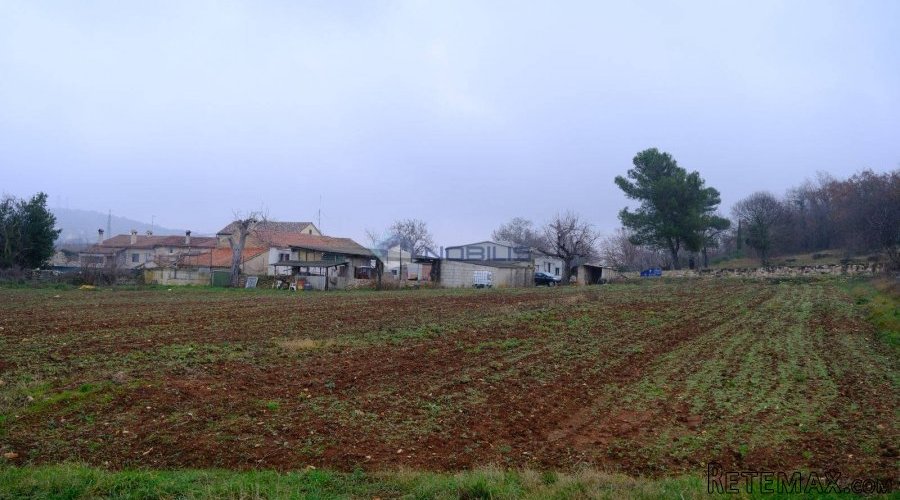 Istra, Bale, 50000m2, šume 24000m2, stara kuća, dvorište - 12