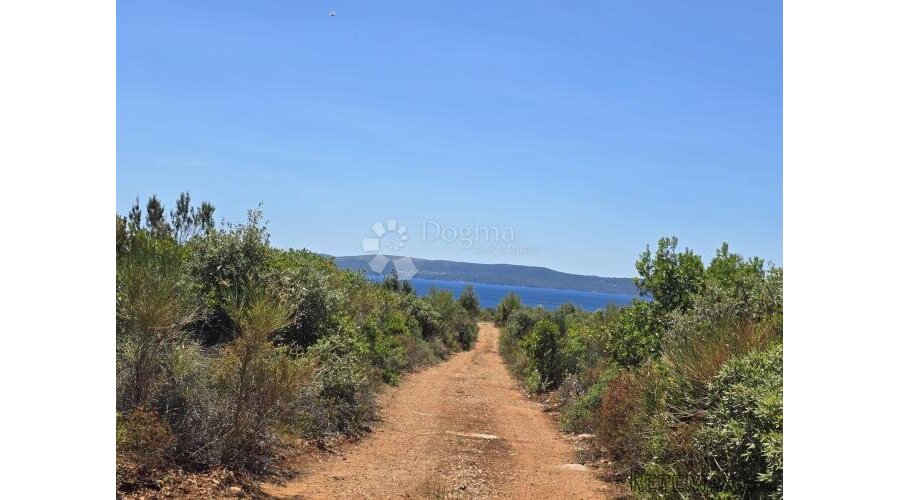 TOP zemljište na Ugljanu, 200 metara od plaže