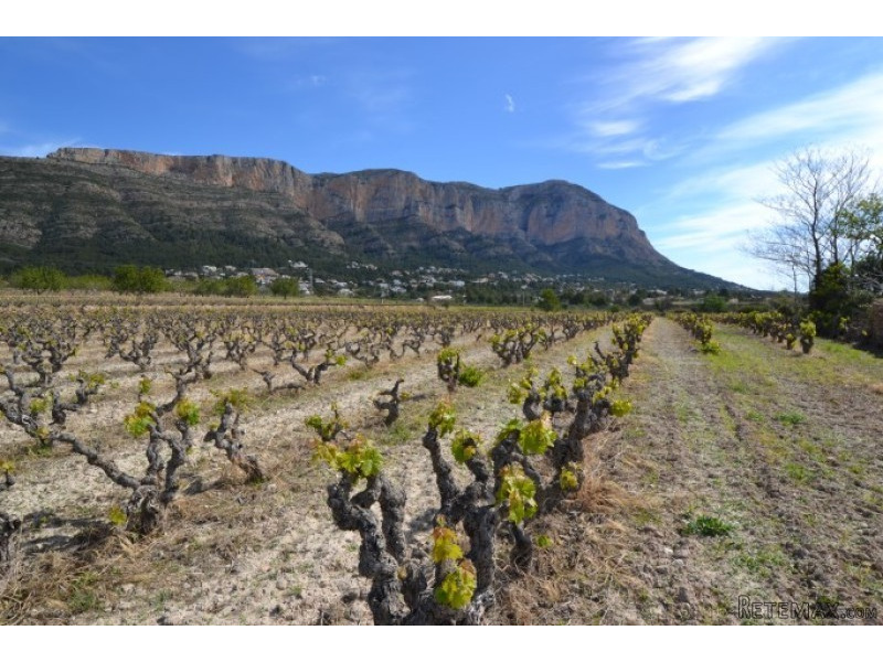 V1514 - Finca To Reform With 32,000㎡ P.. - 2
