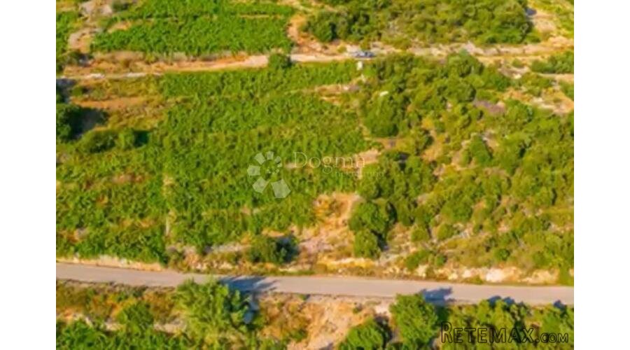 Investicijska prilika - OPG u rajskim vinogradima - 2