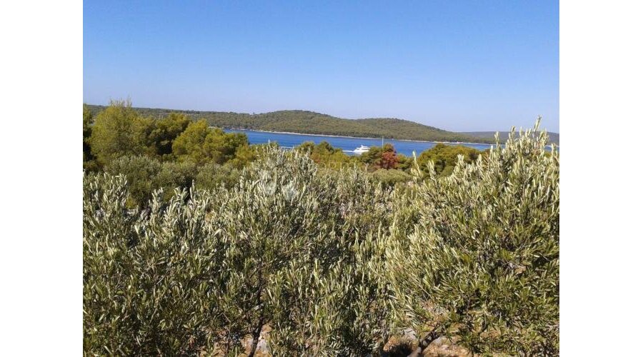 T2 ZONA MILNA, BRAČ 17699m2