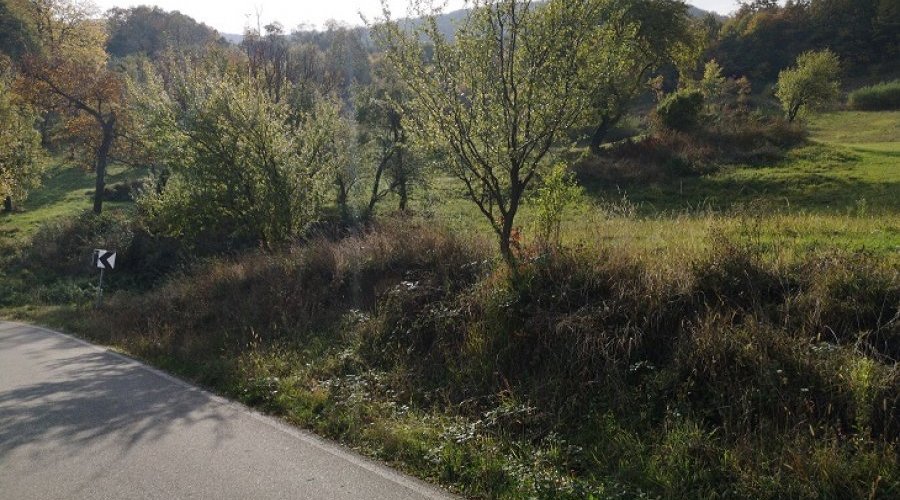 Plac u Banji Koviljaci - 3
