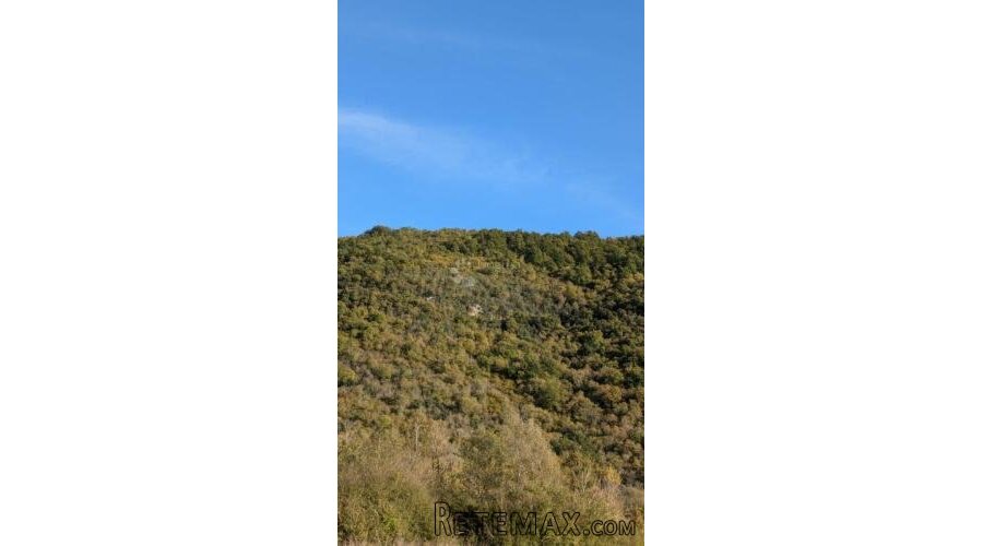 POLJOPRIVREDNO ZEMLJIŠTE SA ŠIROKIM PRISTUPNIM PUTEM - 3