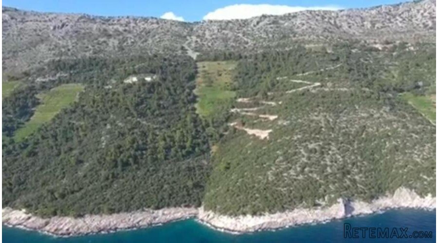 Ekskluzivni vinograd Dingač – Pelješac - 2