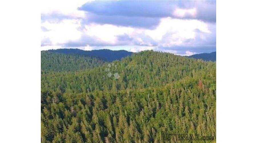 Poljoprivredno zemljište u Liču – 2.935 m², mirna lokacija - 2