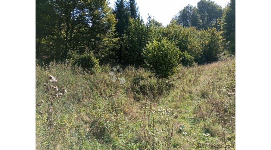 GORSKI KOTAR DELNICE PRILIKA ZA LUKSUZNO IMANJE ili do 10 vi - 3