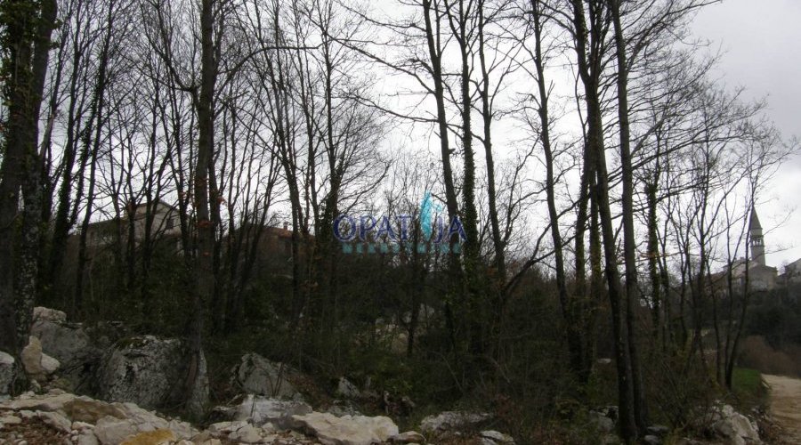 Pićan, nedaleko gradske jezgre prodaje se atraktivno.. - 4