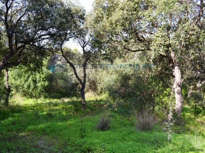 Sotogrande Kings & Queens Plot. Front.. - 2