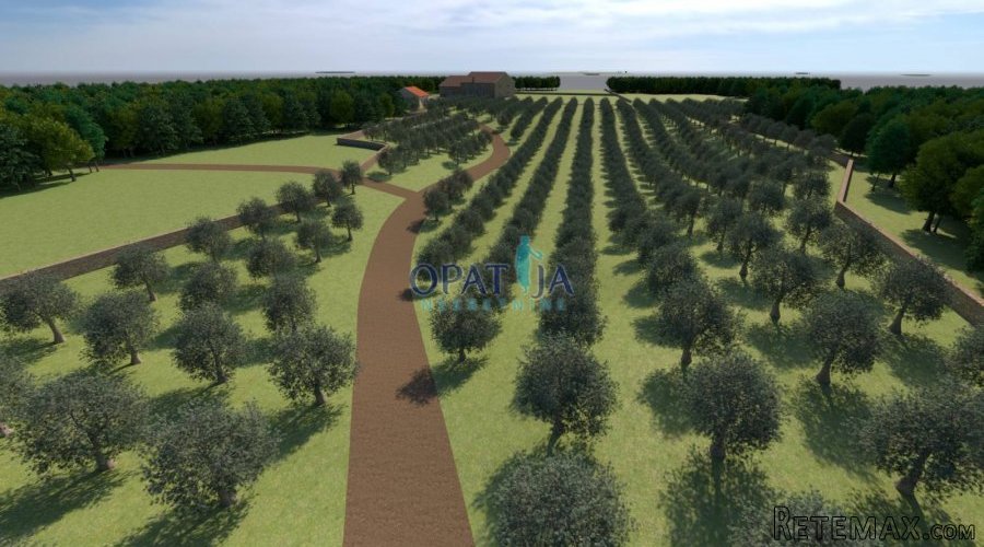 Istra, Bale zemljište 12200 m2
