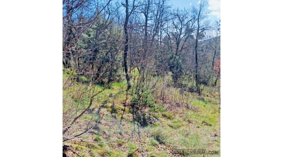 POLJOPRIVREDNO ZEMLJIŠTE – 7.399 m² – KALAC,PRODAJA!