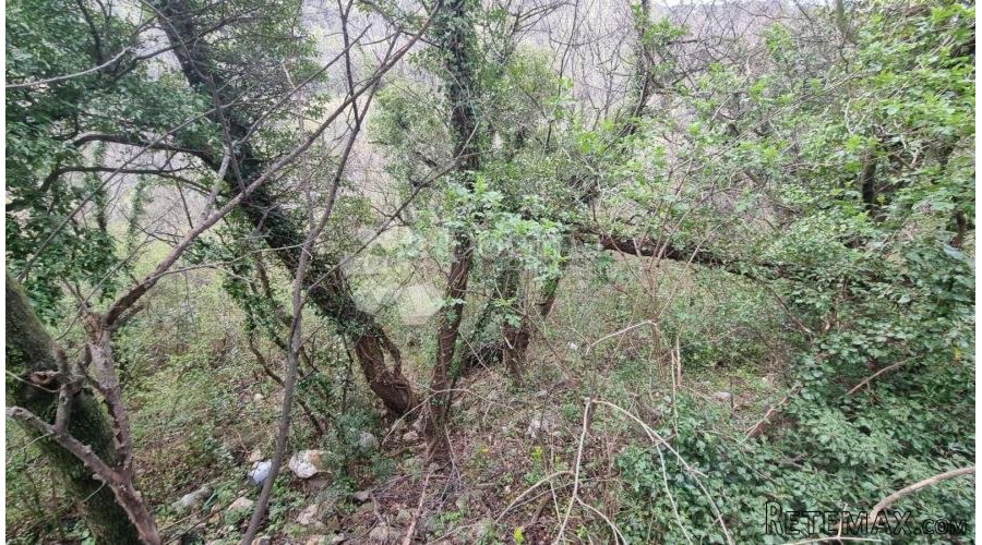 Veliko zemljište Draga - 3