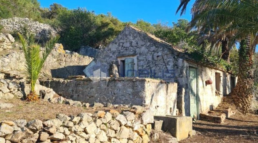 Vis, stara kamena kuća 40 m2 sa zemljištem 9.000 m2