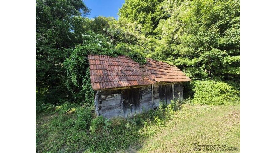 Drvena kljet sa uporabnom pored šume na bregu nadomak Zaboka - 2