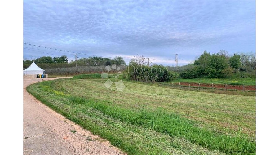 VIŽINADA – parcela na rubu sela okružena maslinicima - 2