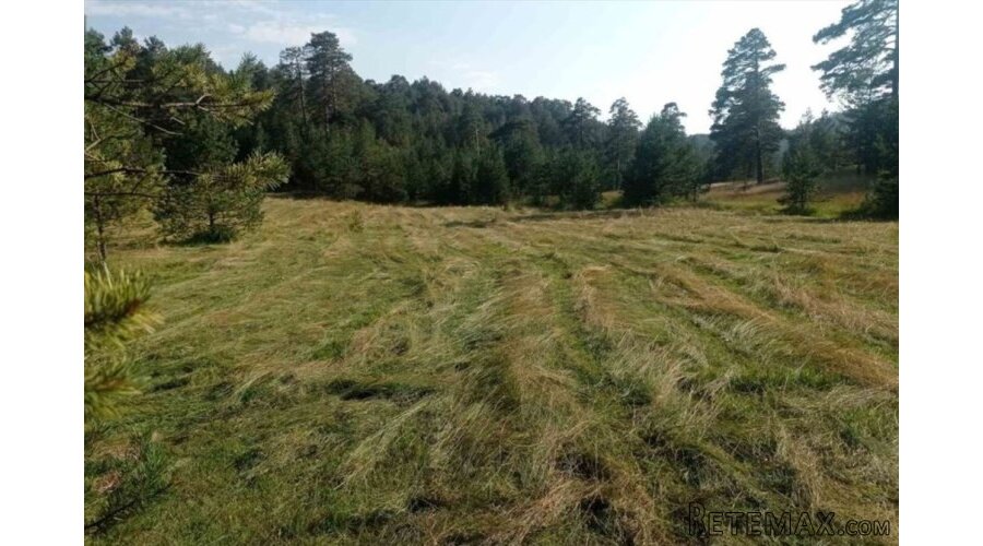 Zlatiborski Dukat-zemljiste,investicija-Čigota - 4