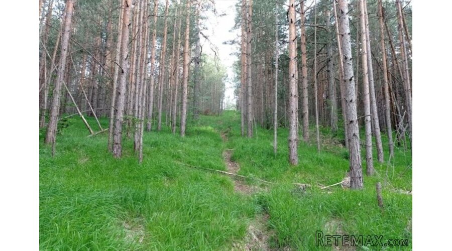 Zlatiborski Dukat-zemljiste,investicija-Čigota - 7