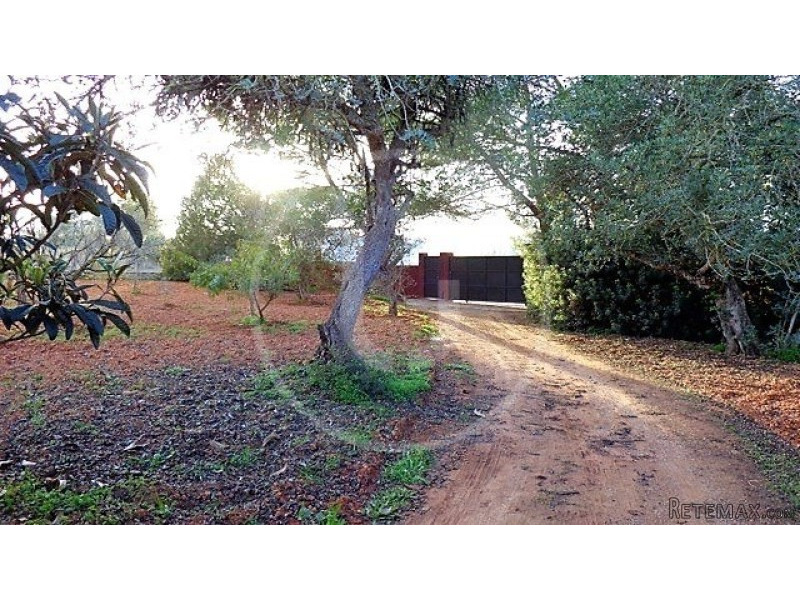 Finca with country views - 2