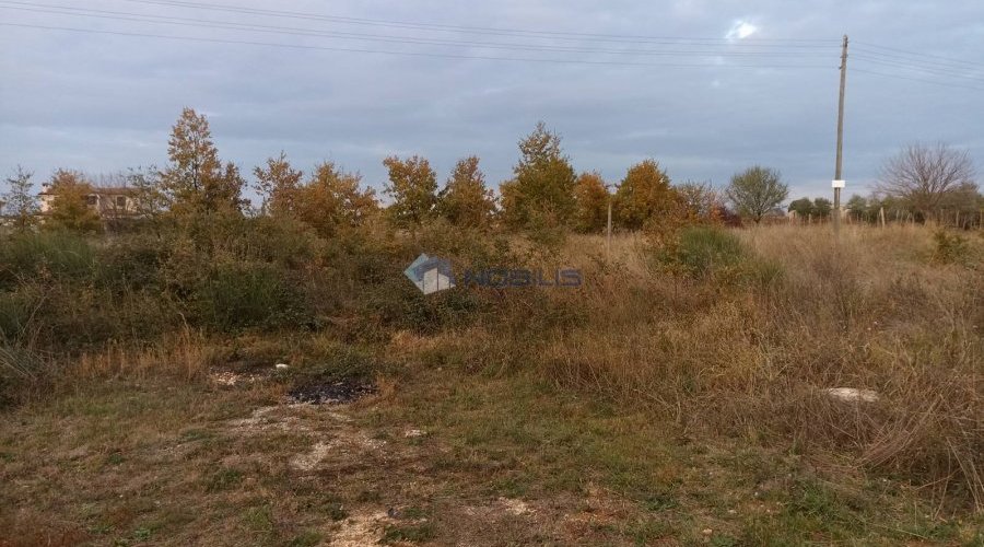 Istra, Poreč, Rogovići-Tar, građevinsko zemljište 1600m2