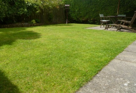 Property Wise - Estate Agents Isle of.. - 2