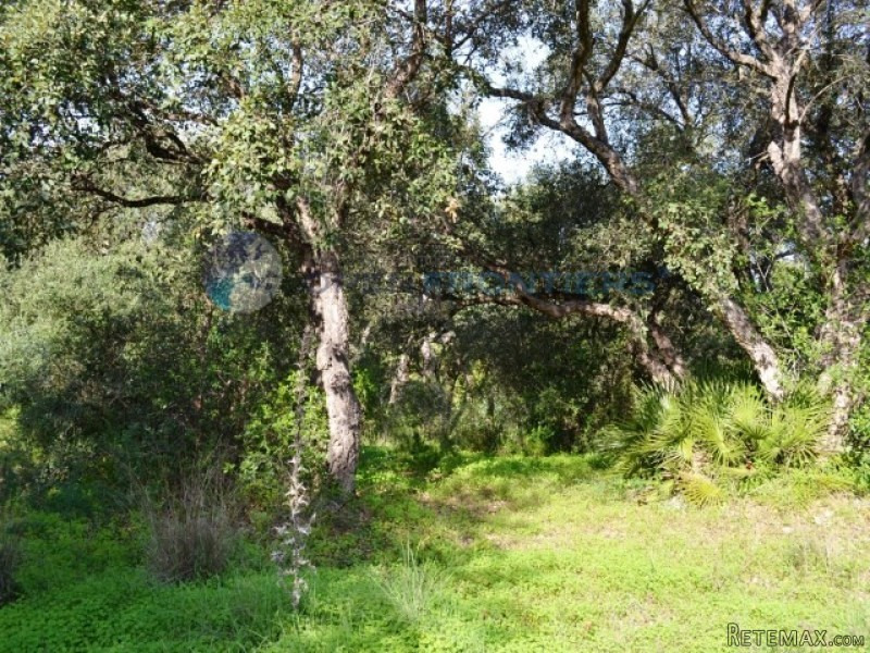 Sotogrande Kings & Queens Plot. Front..