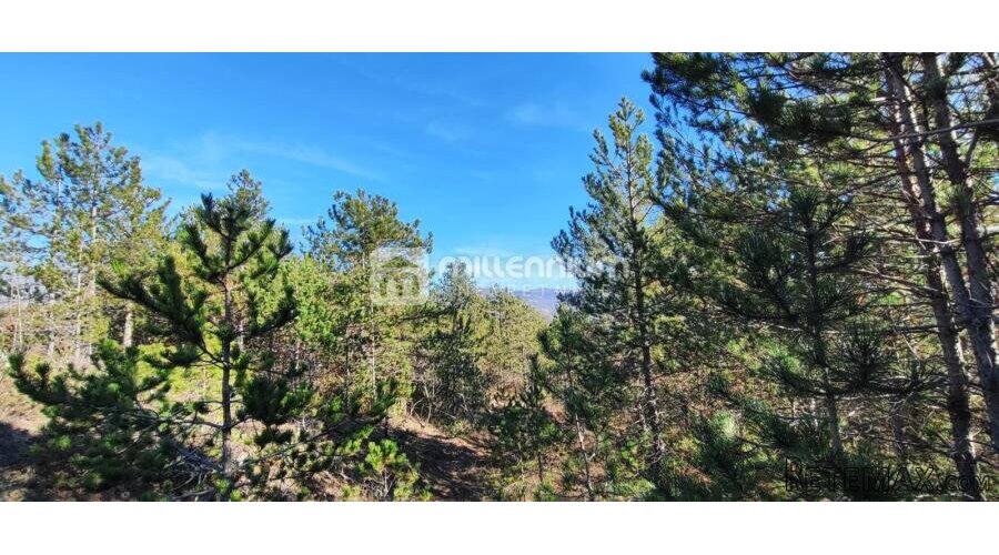 Istra, okolica Pazina, zemljište, 214.230m2 - 2