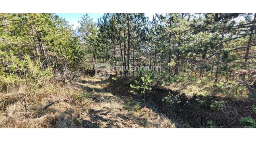 Istra, okolica Pazina, zemljište, 214.230m2 - 3