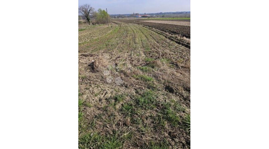 Građevinsko zemljište u Beretincu