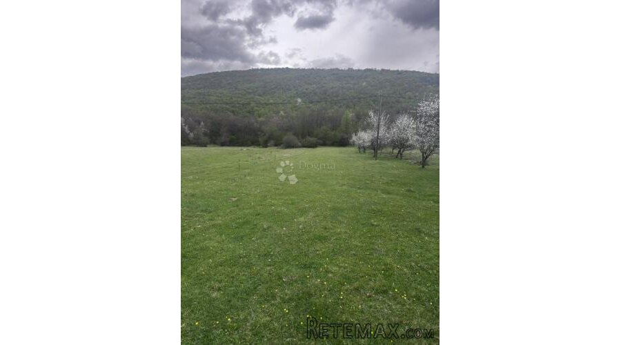 POLJOPRIVREDNO ZEMLJIŠTE 28304 M2 CJELINA - 2