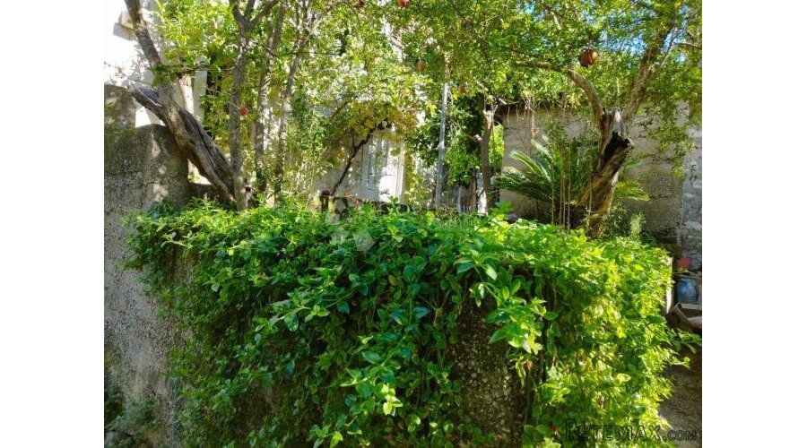 kamena kuća s velikim potencijalom samo 400 metara do mora - 3