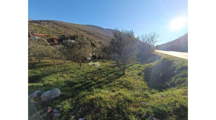 PRILIKA! POLJOPRIVREDNO ZEMLJIŠTE SRINJINE, SPLIT