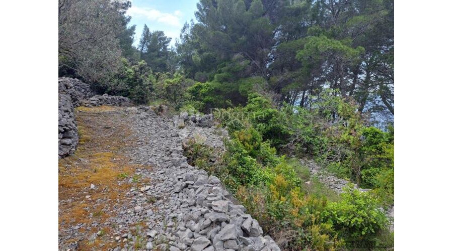 Korčula, poljoprivredno zemljište prvi red do mora - 2