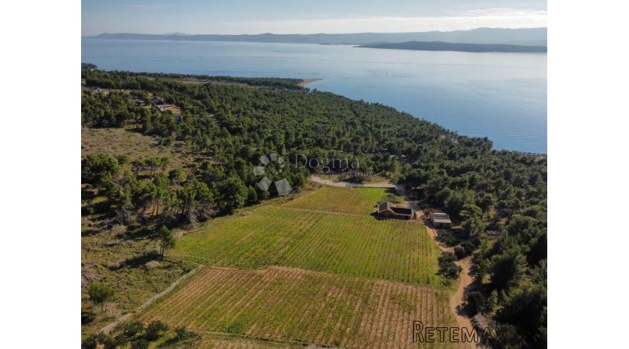 BOL 2 KUĆE + VINOGRAD OD 9614m2 S TOP POGLEDOM