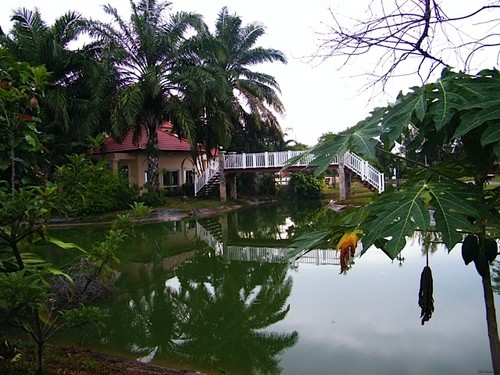 House / Home For Rent Nakhon Ratchasima..