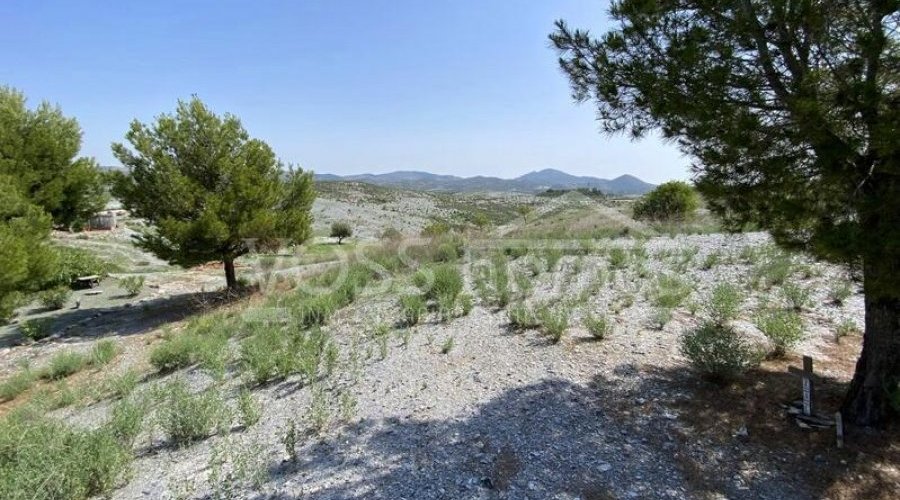 NEW & EXCLUSIVE LISTING TO VOSS HOMES - A spacious 169m2, 2.. - 11
