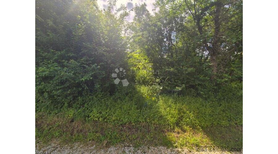 SAMO U DOGMI - GRAĐEVINSKO ZEMLJIŠTE SA POGLEDOM - 3