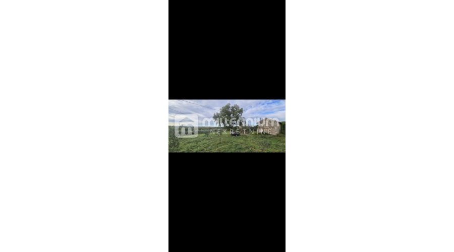 Istra, Oprtalj, 160m2, kamena kuća s velikom okućnicom - 5