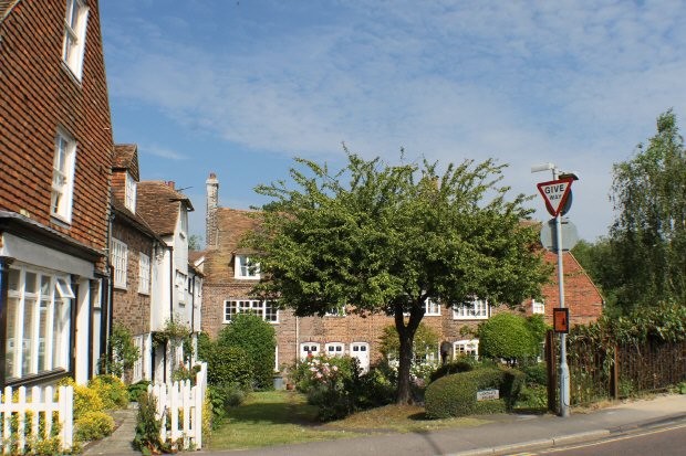 Rye Tn31