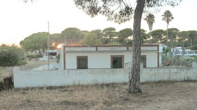 Finca Farm - RENOVATION PROJECT This.. - 2